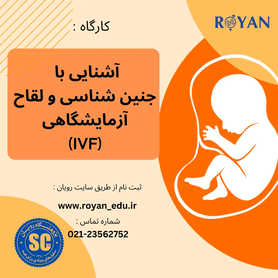 کارگاه جنین شناسی و لقاح آزمایشگاهی ( دبیرستان هدی - آبان 04)