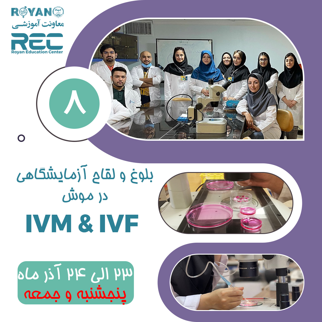 کارگاه IVM & IVF بلوغ و لقاح آزمایشگاهی تخمک موش 8