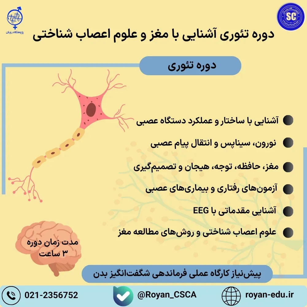 دوره تئوری آشنایی با مغز و علوم اعصاب شناختی