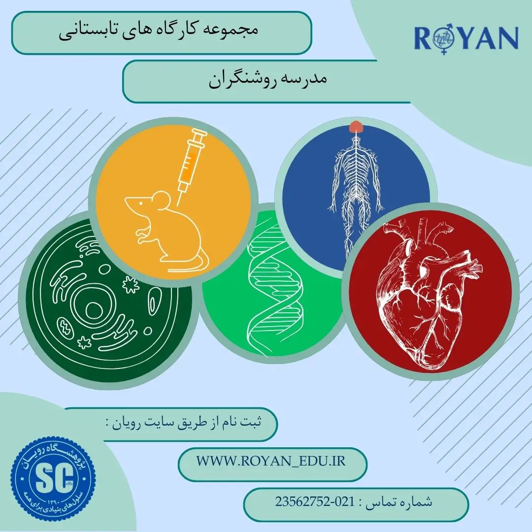 نام دوره