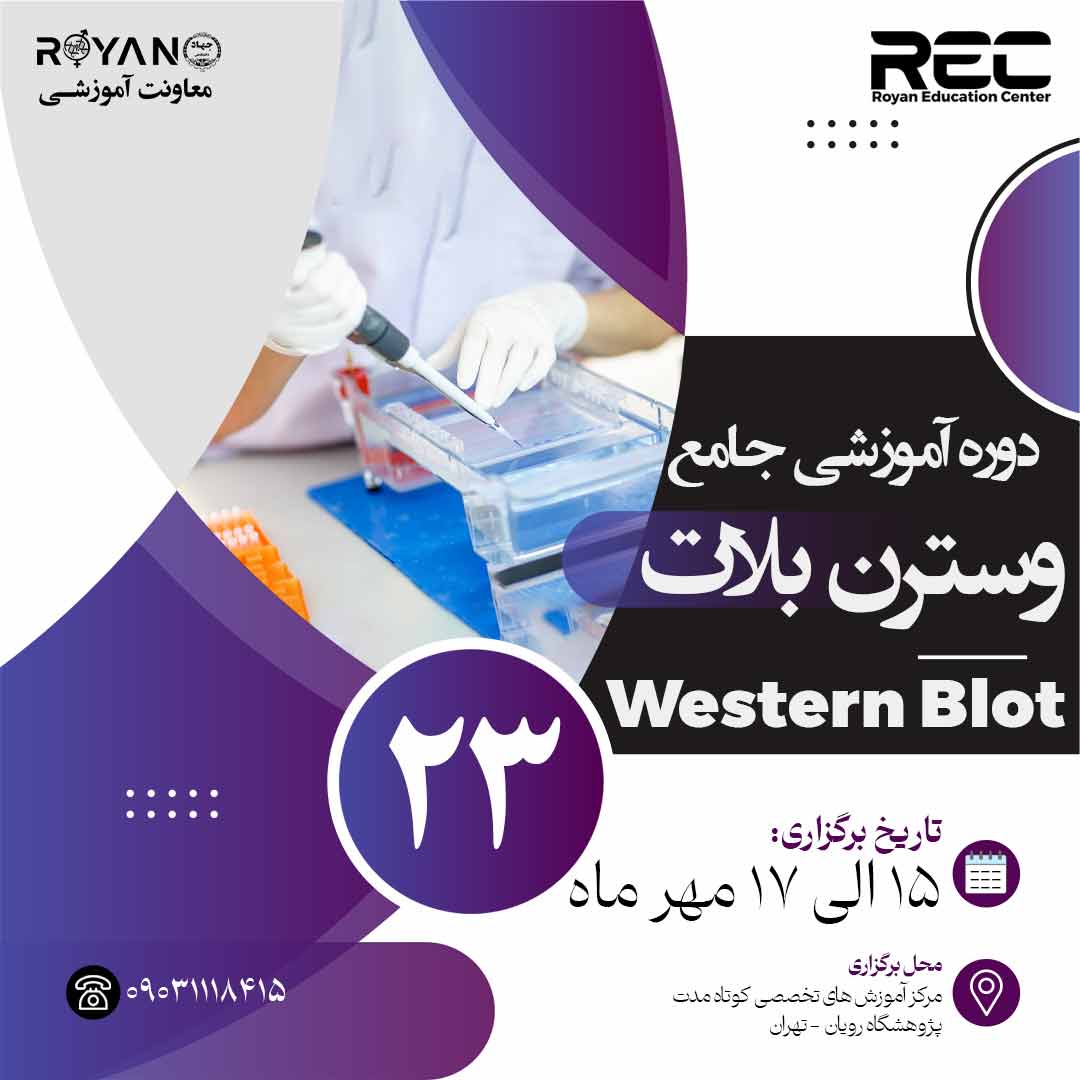 نام دوره
