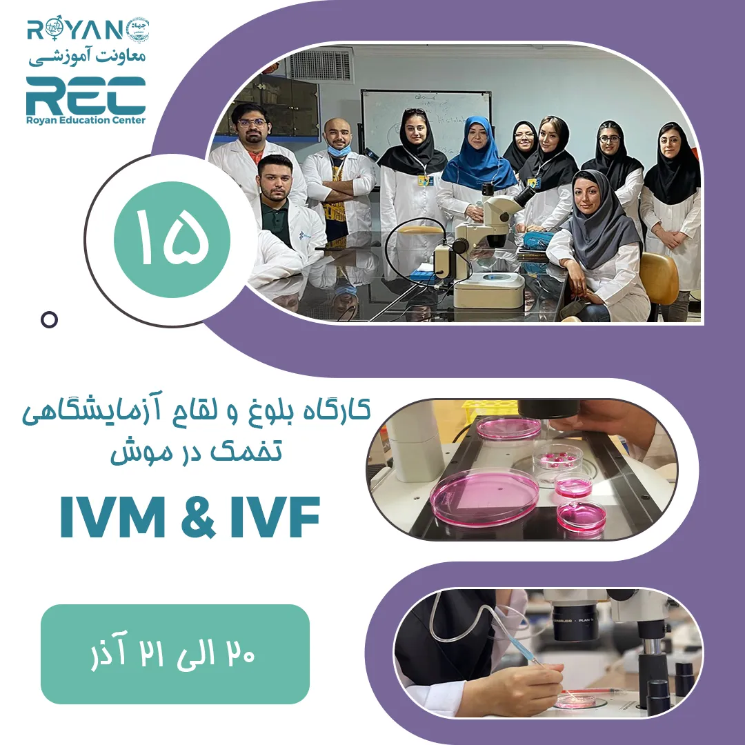 كارگاه لقاح خارج رحمی در موش با استفاده از تخمك نابالغ (IVM & IVF) 15