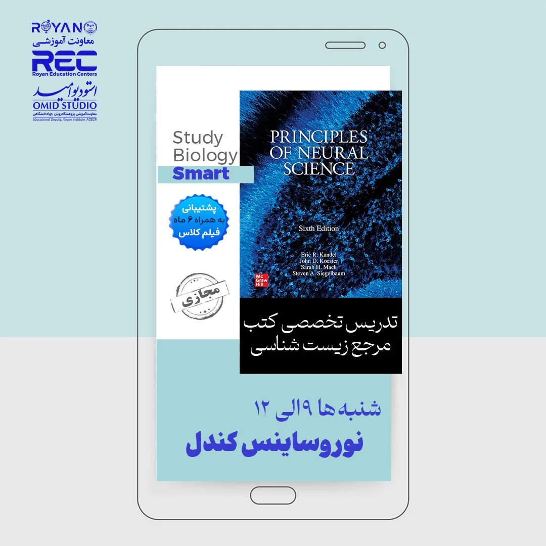 نوروساینس کندل 1404