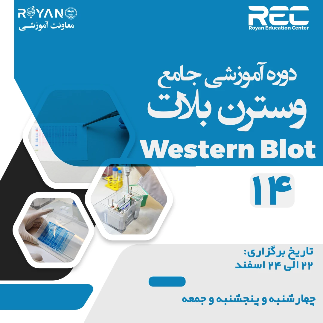 وسترن بلات جامع 14