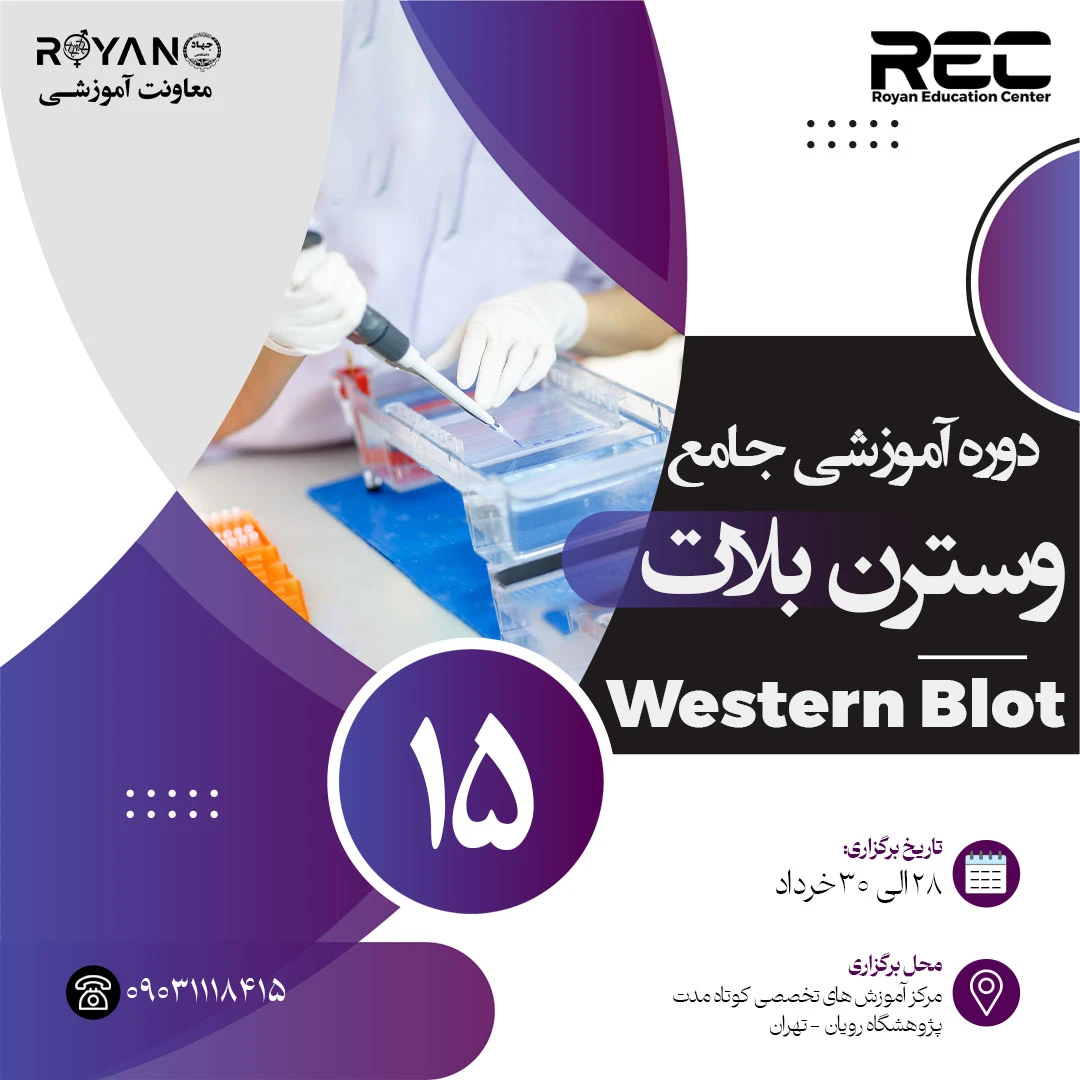 وسترن بلات جامع 15