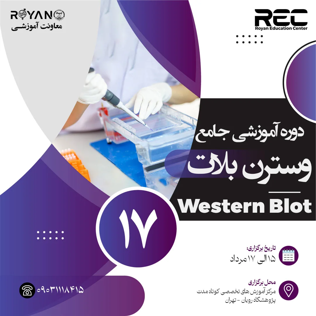 وسترن بلات جامع 17