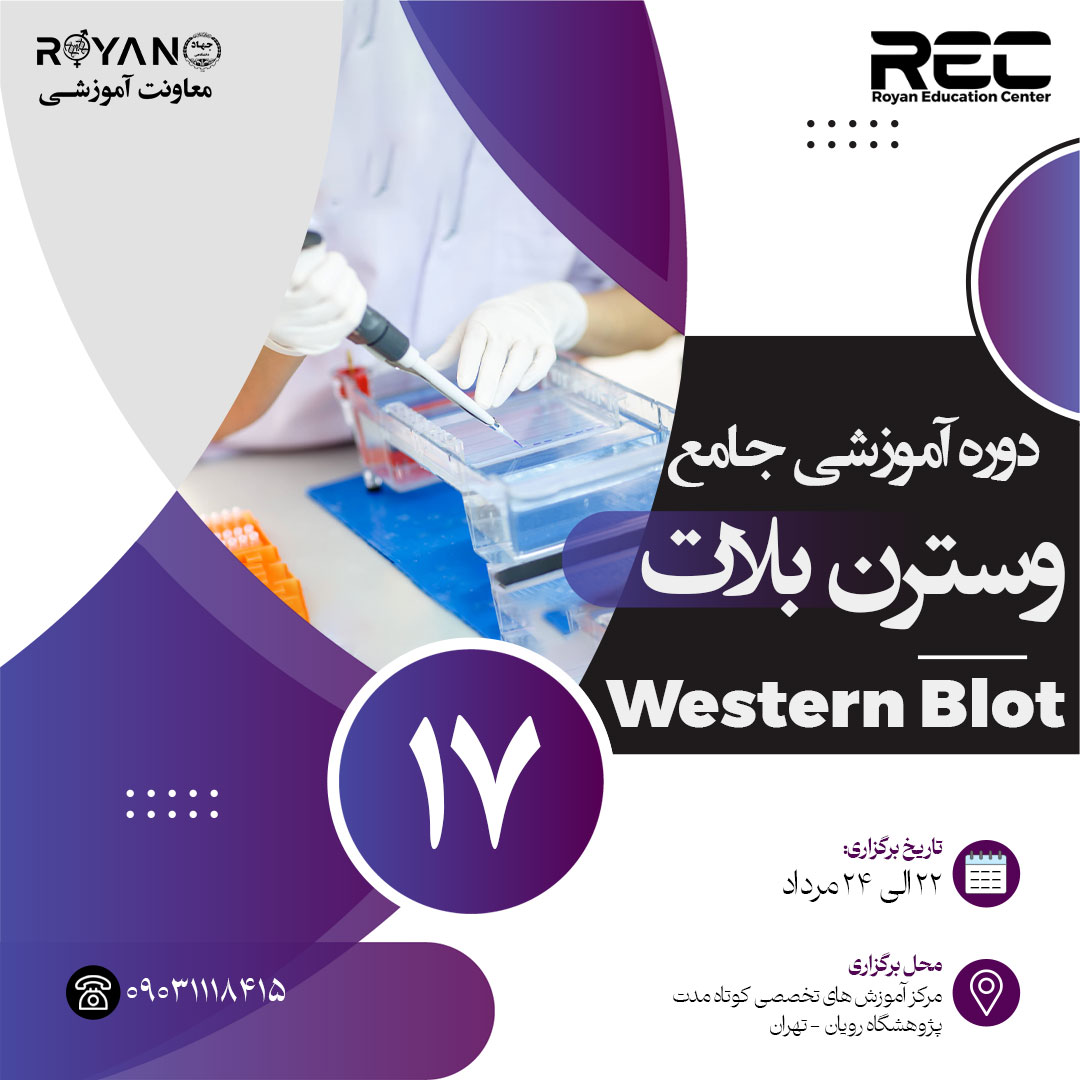 وسترن بلات جامع 17