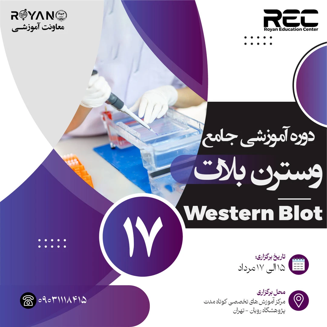 وسترن بلات جامع 17