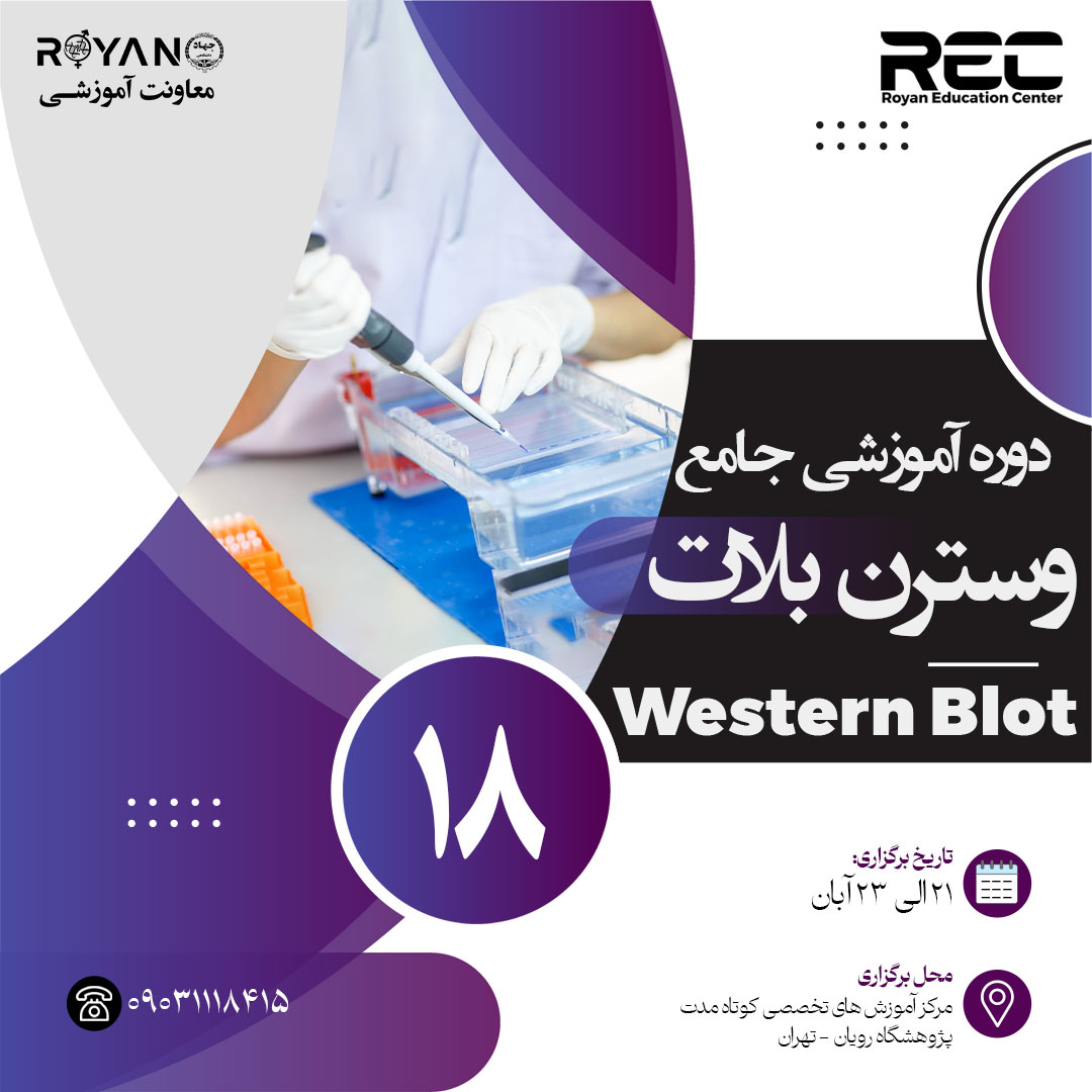 نام دوره