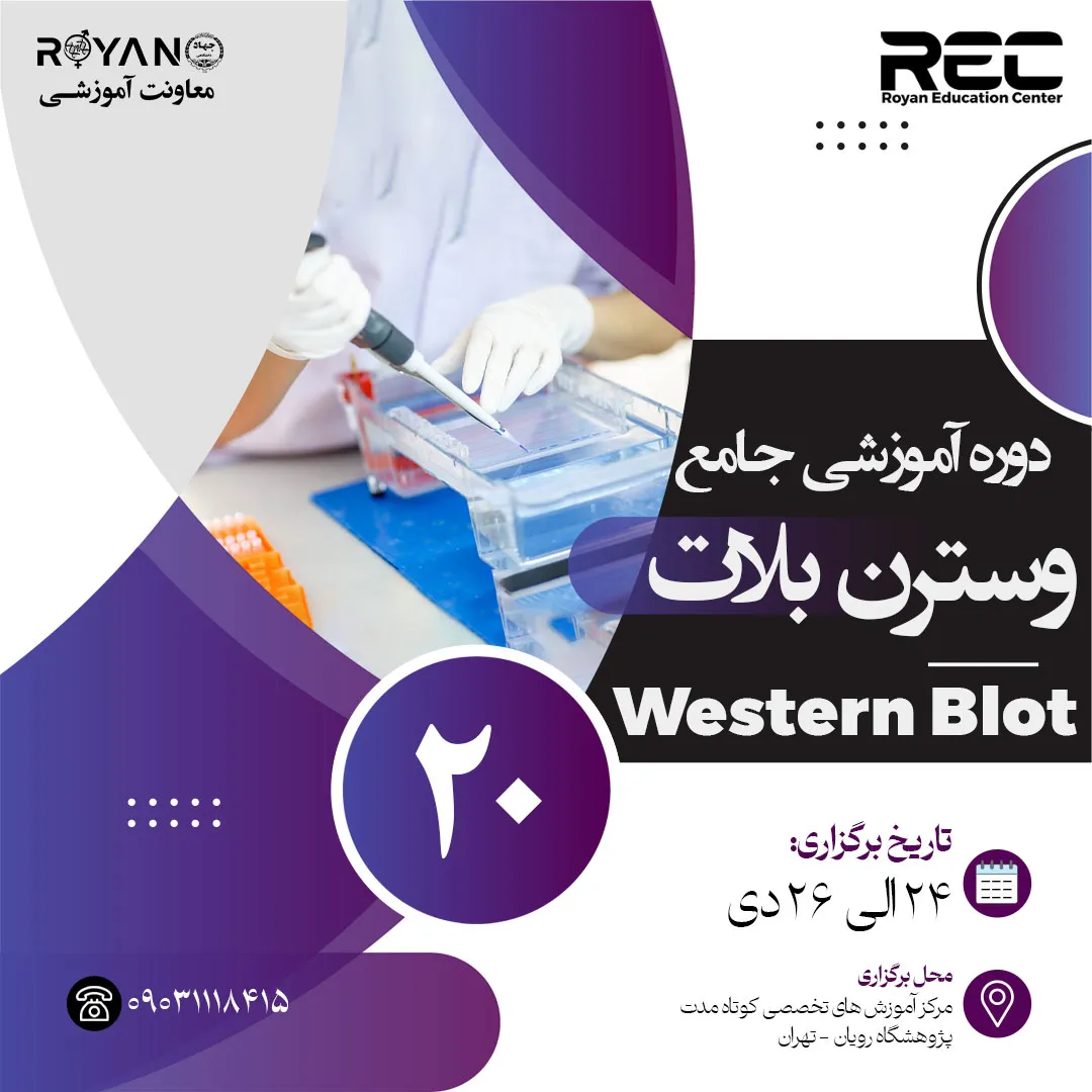 وسترن بلات جامع 20