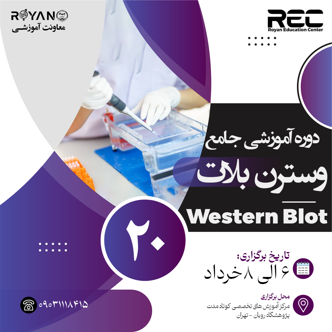 نام دوره