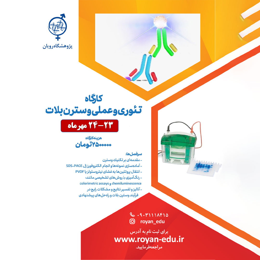 نام دوره